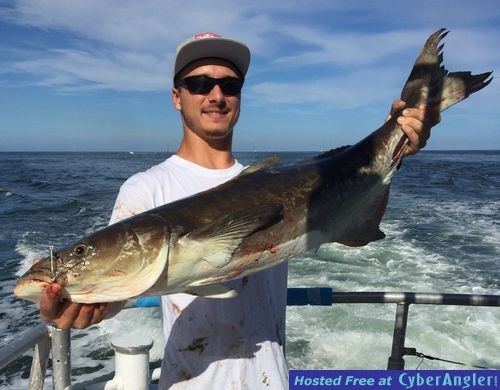 Click to Enlarge Photo