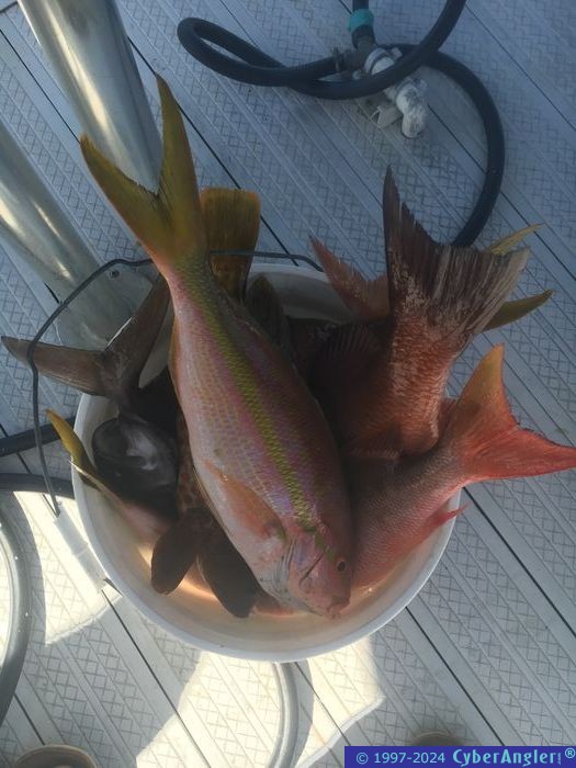 Fishing Stuart, FL
