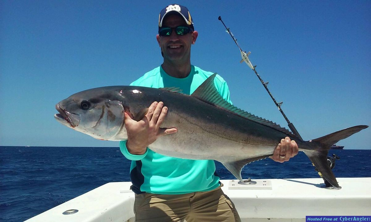 amberjack deep dropping