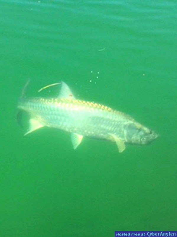 Gary_n_tarpon