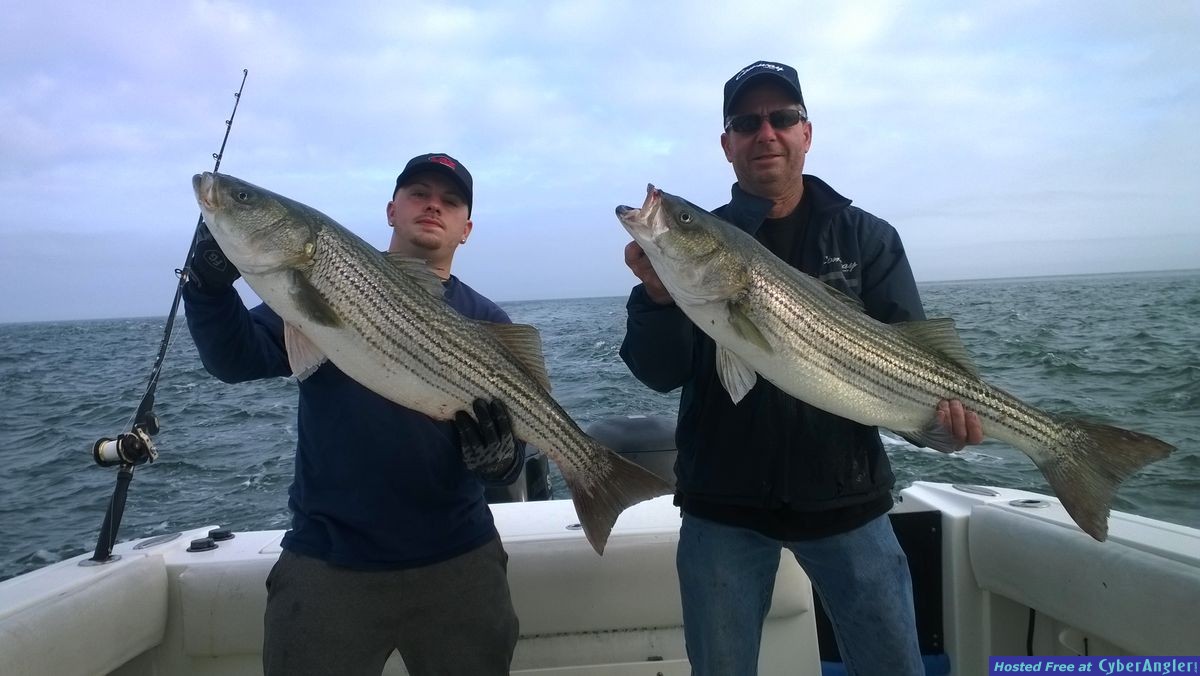 Striper action