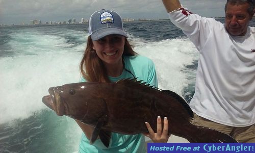 Black grouper