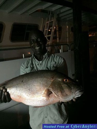 Nice mutton snapper caught