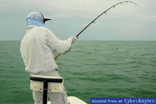 Denis Clohisy Sarasota tarpon fight