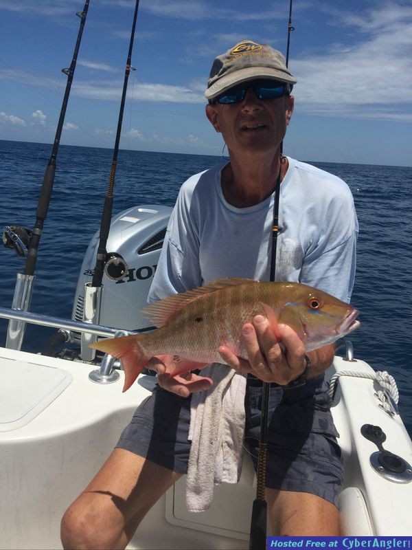 17&quot; Mutton Snapper