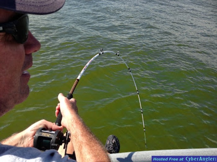Jacksonville Fishing