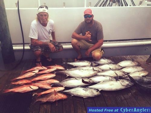 Mutton snapper and bonitos