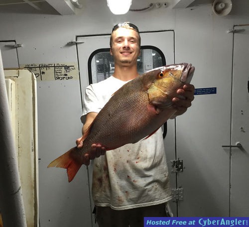 Mutton snapper