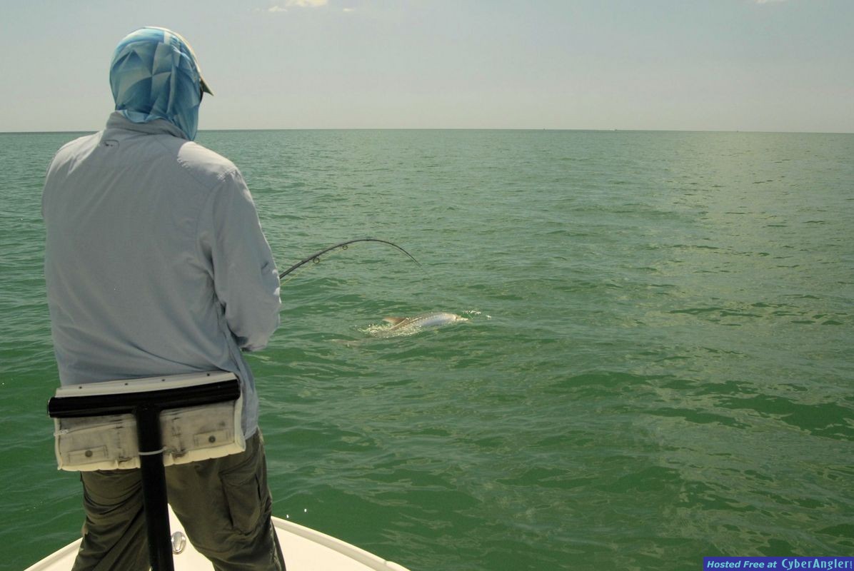 Click to Enlarge Photo