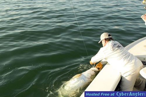 Capt. Rick Grassett landing James Notari Sarasota tarpon