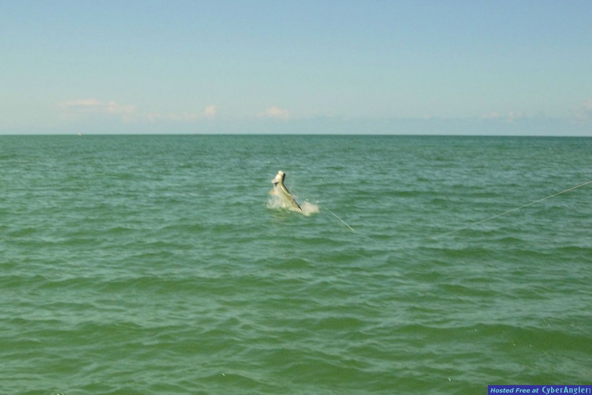 Click to Enlarge Photo