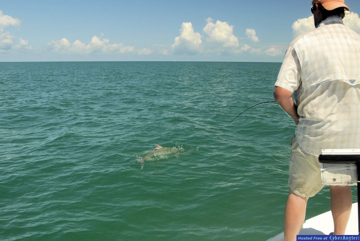 Click to Enlarge Photo