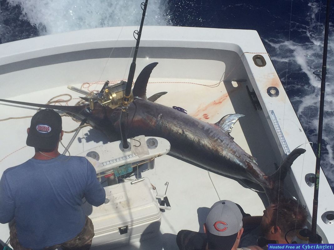 Islamorada_swordfish_fishing_florida_keys_2016