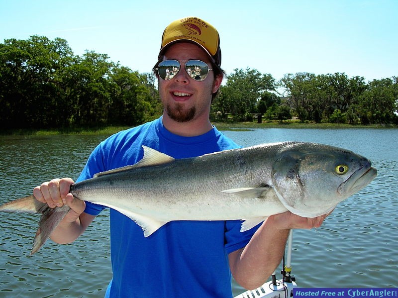 Chopper on Topwater