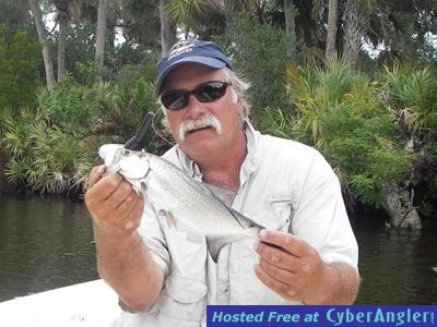 Baby Tarpon On Fly 5/22