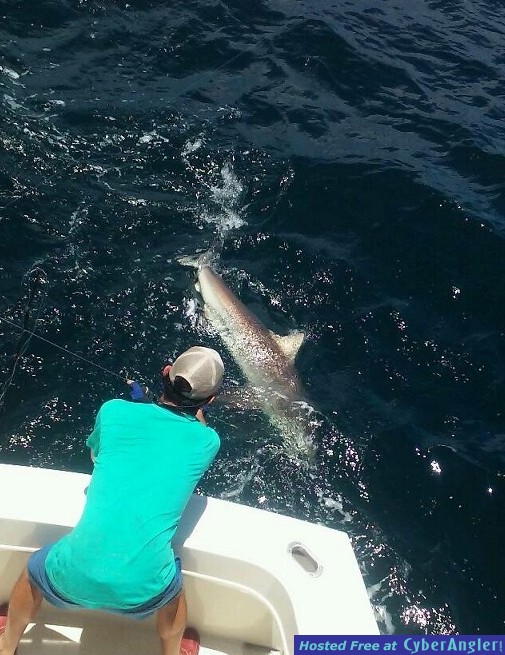 Fishing charters Ft Lauderdale area report