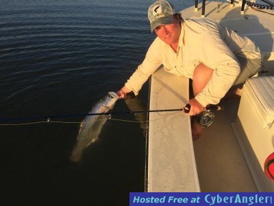 Fly fishing for tarpon