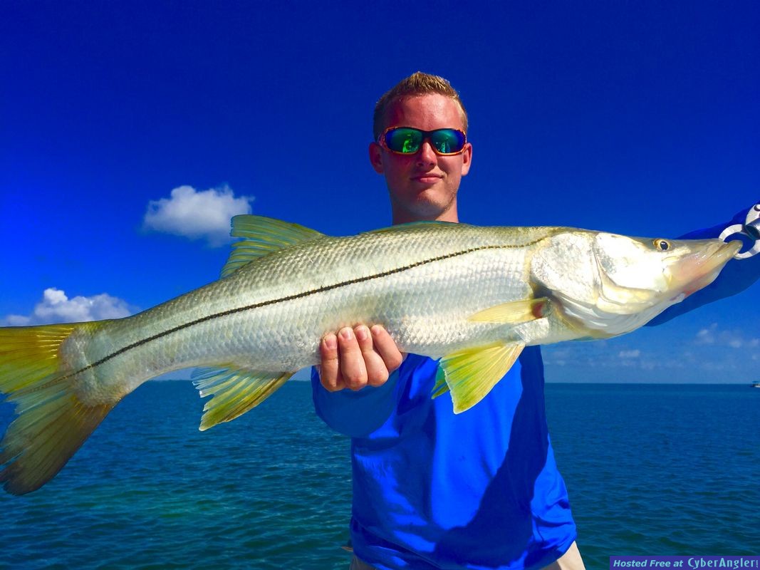 Fishing Tarpon Springs, FL