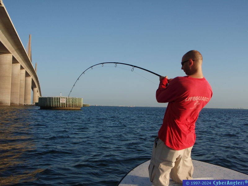 Big fish on!