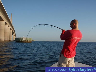 Click to Enlarge Photo