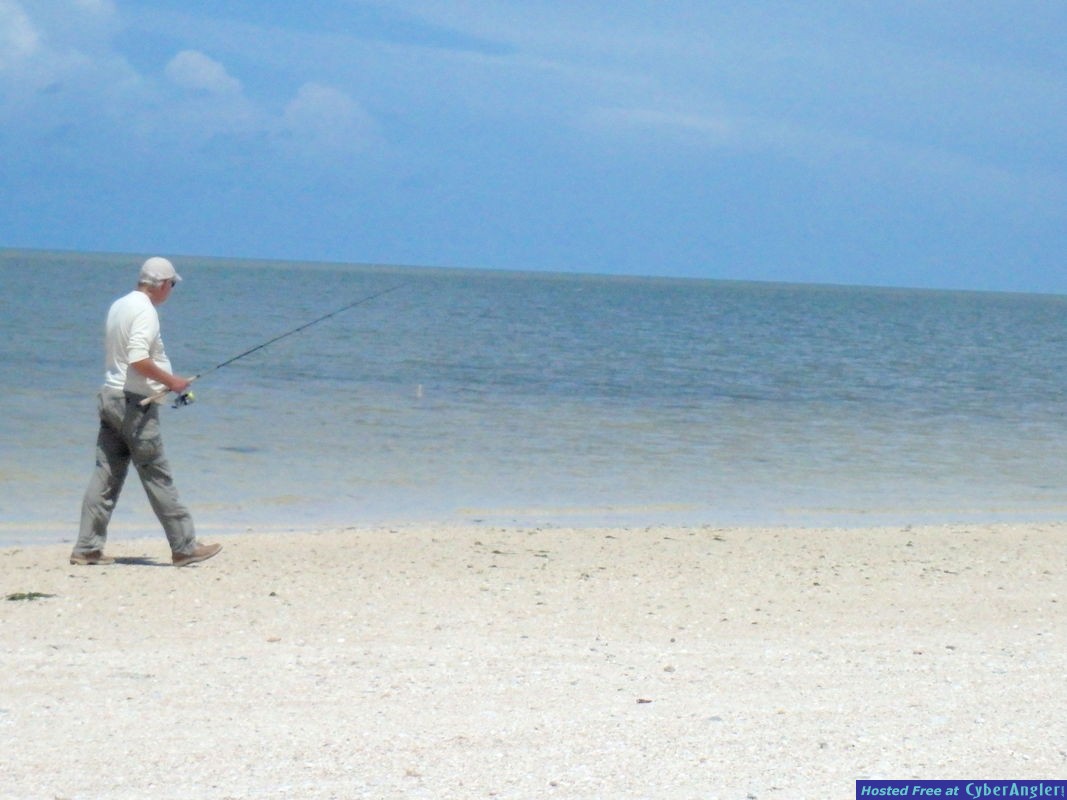 Click to Enlarge Photo