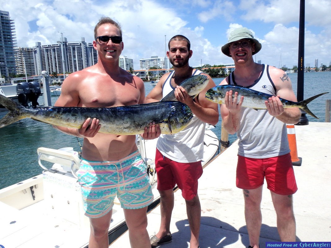 Click to Enlarge Photo