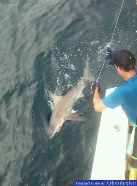 Ft Lauderdale Deep Sea Fishing