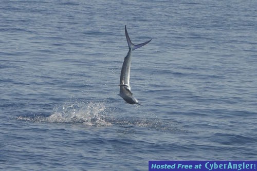 Click to Enlarge Photo