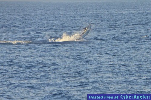 Click to Enlarge Photo