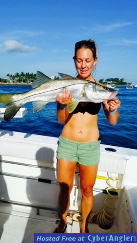 Click to Enlarge Photo