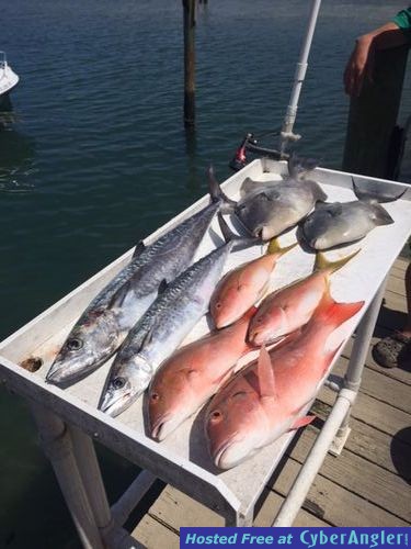 Click to Enlarge Photo