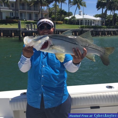 Click to Enlarge Photo