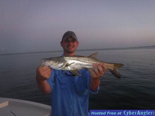 Click to Enlarge Photo