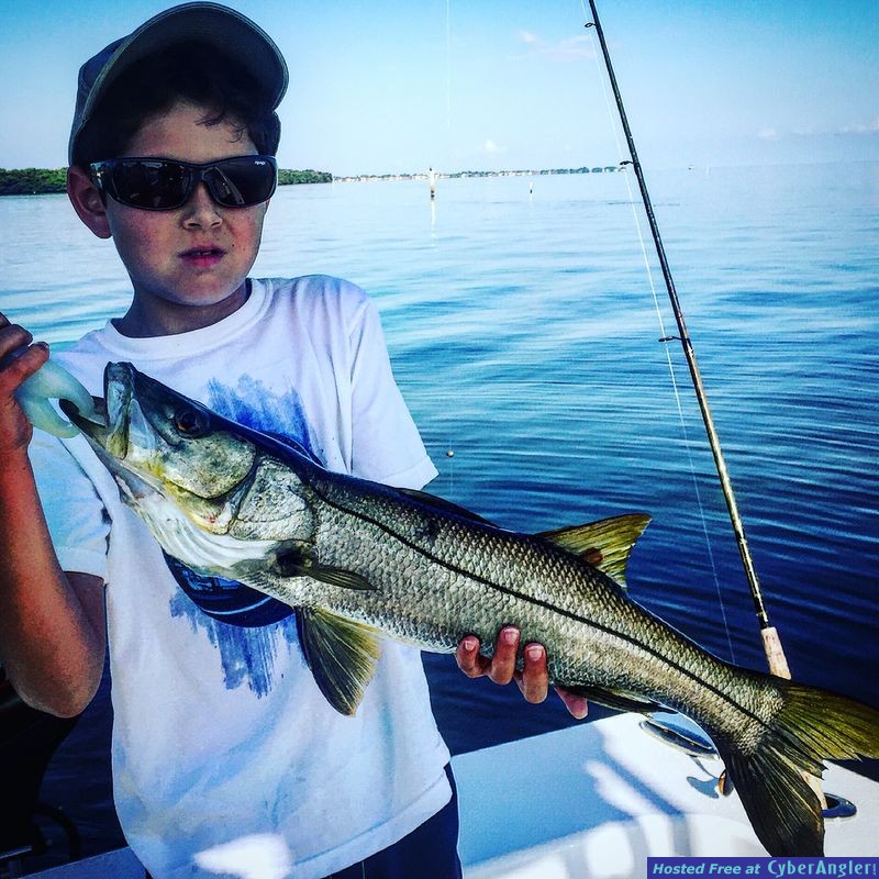 AMI Snook