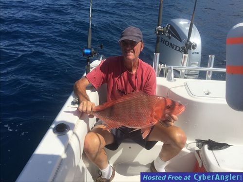 Nice red snapper released