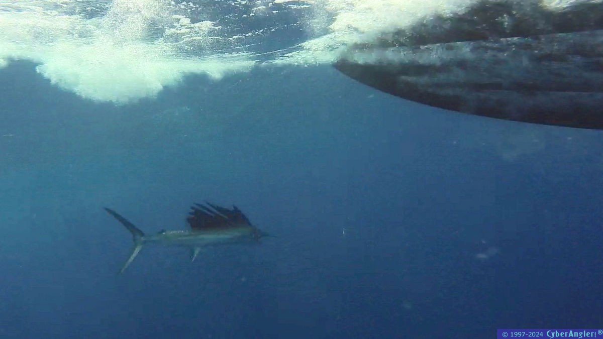 Click to Enlarge Photo