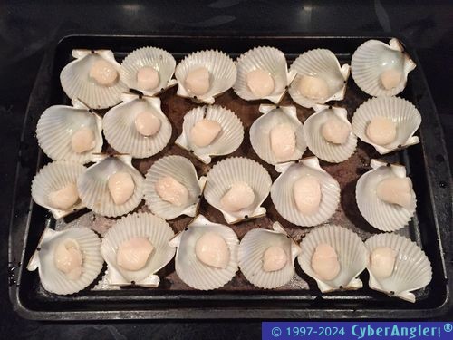 Click to Enlarge Photo