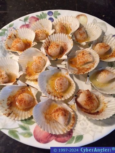 Click to Enlarge Photo