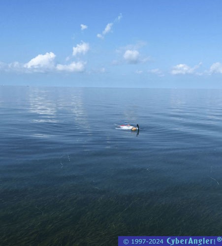 Click to Enlarge Photo