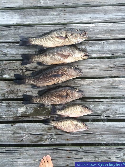 Fishing Stuart, FL