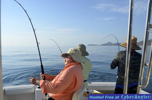 Click to Enlarge Photo