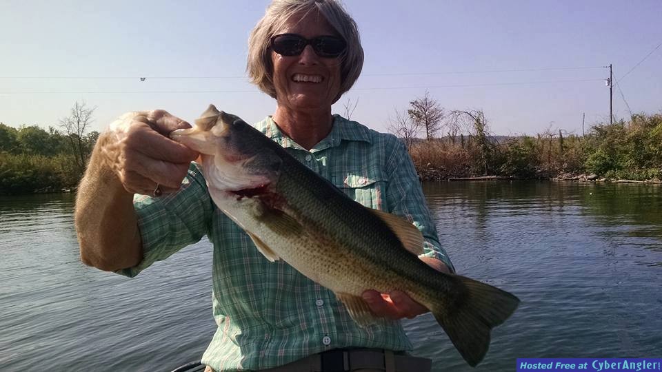 Click to Enlarge Photo