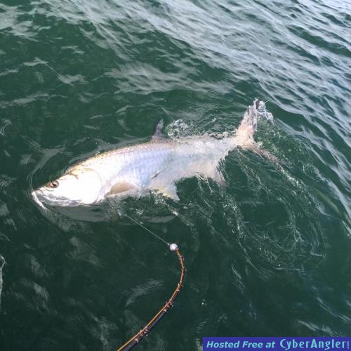 Click to Enlarge Photo