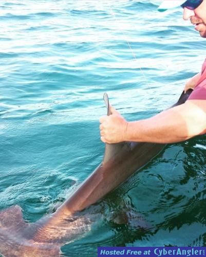 Click to Enlarge Photo