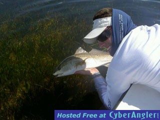 Mike Releasing a Red in Flamingo!