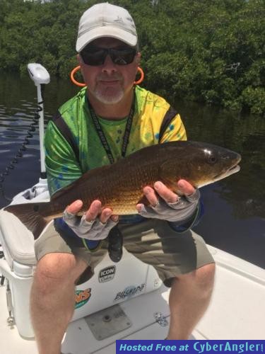 Click to Enlarge Photo