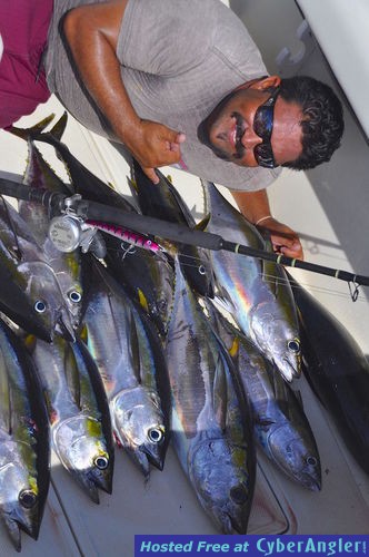 Click to Enlarge Photo