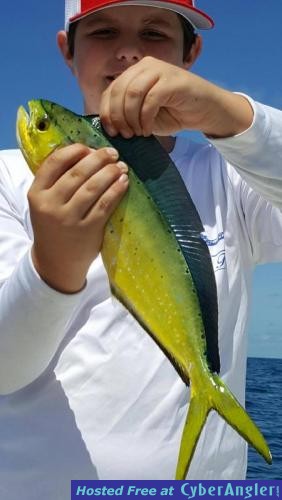 Click to Enlarge Photo