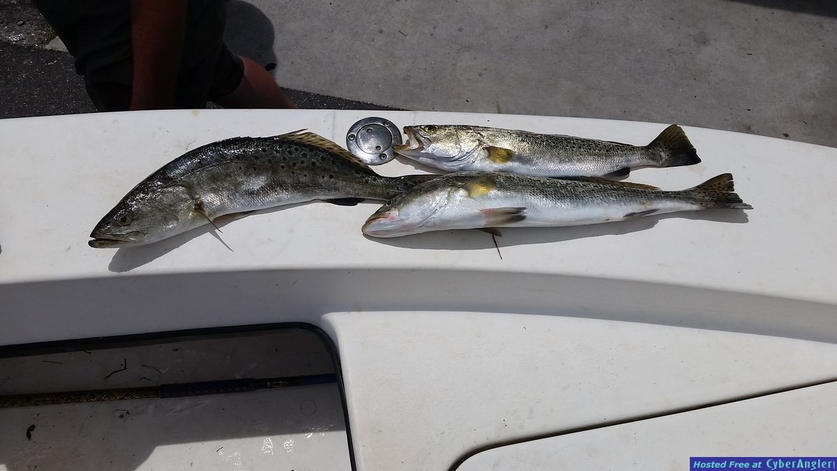 www.hookedoncharters.com flats fishing guide
