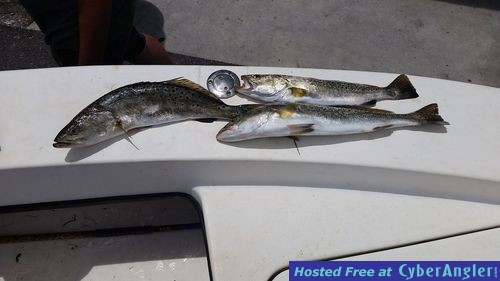 www.hookedoncharters.com flats fishing guide